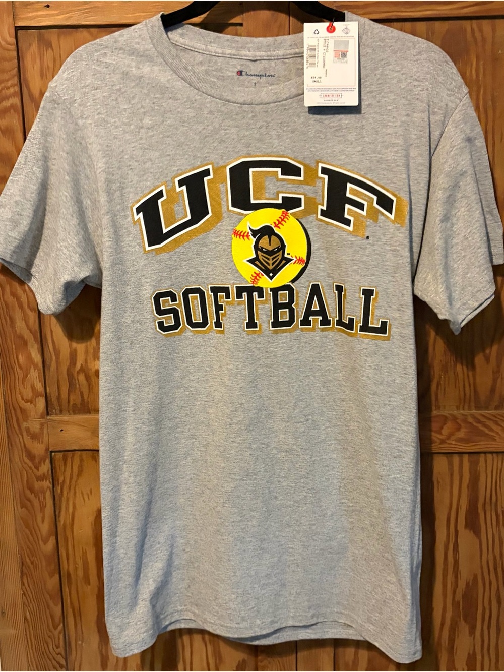 Champion Gray UCF Softball Graphic Tee New with tags. Size small.